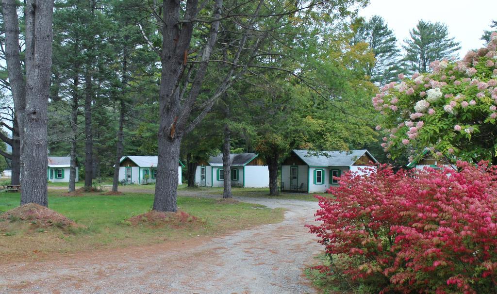 Pine Valley Cabins Thornton Экстерьер фото