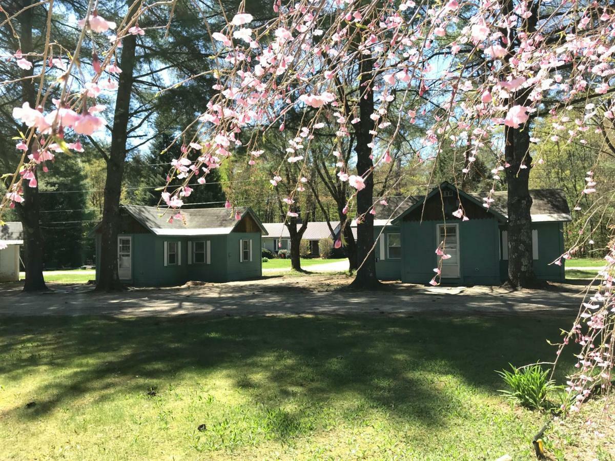 Pine Valley Cabins Thornton Экстерьер фото